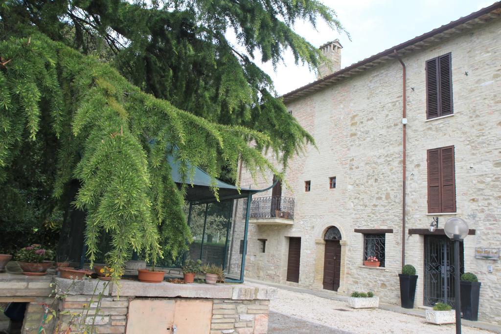 Hotel La Quiete Assisi Exterior photo